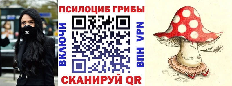 Купить где Безенчук Псилоцибиновые грибы мухоморы
